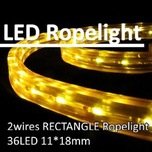 Wholesale Rectangle 2 wires LED flexible rope light IP44 outdoor/indoor red/yellow/green/blue color from china suppliers