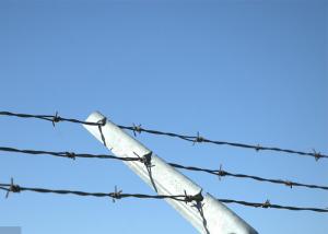 Wholesale Farm Protection Single Strand Galvanized Steel Barbed Wire Fence Construction Protection from china suppliers
