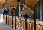 Interior Solid Back European Horse Stalls 12 Feet Length 220cm Height