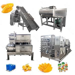 Wholesale Automatic Mango Processing Line 20T/H Food Grade SS304 from china suppliers