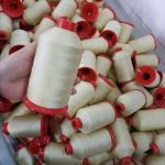High Strength 210D Bonded Polyester Sewing Thread Made of 100% Nylon for UV
