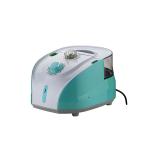 Portable Flexible Small Clothes Steamer , Home Appliance Mini Garment Steamer