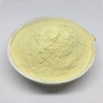 BioVita Total Amino Acid 80% – Precision Engineered Plant Nutrition for