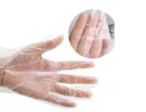 Wholesale Biodegradable Disposable Gloves , Disposable Plastic Gloves OEM / ODM Available from china suppliers
