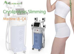Wholesale leadbeauty cryolipolyse from china suppliers