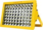 Outdoor Explosion Proof LED Light Fixture Electrostatic Spraying Anti Corrosion
