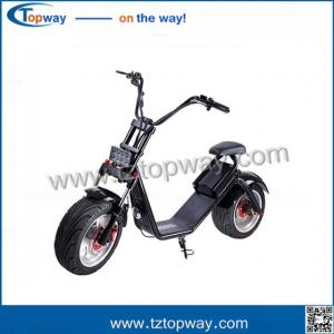 Wholesale disk brake Fat tire Adult citycoco electric scooter skateboard from china suppliers