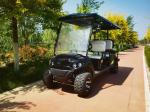 6 Seater Electric Golf Cart Fashion Design Powered Electric Lead Acid Batteries