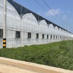 Hydroponics Irrigation System for Strawberry/Flowers/Vegetables Multi-Span Frame