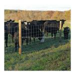 Length 10-200m Agriculture Field Livestock Wire Fence with Durable Fixed Knot