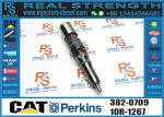 Fuel Injector 20R-5079 20R-1318 173-9268 198-7912 460-8213 342-5487 417-3013 304