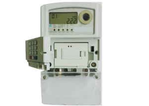 Wholesale Single Phase Two Wires Prepaid Power Meter , Residential Prepayment Smart Meter from china suppliers
