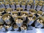 400g / 425g Canned Whole Mushroom Canned Chinese Mushrooms
