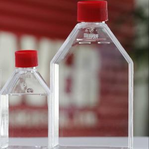 Wholesale Suspension Cell Culture Flask 25cm2 Cell Culture Consumables from china suppliers