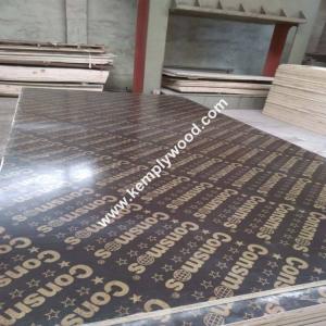 Wholesale Factory direct sale in linyi one time hotpress black / brown /4x8ft 1250x2500 phenolic construction film faced plywood from china suppliers