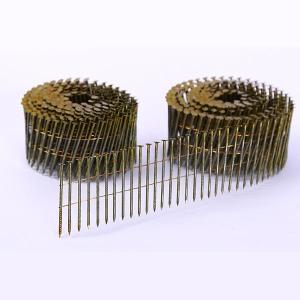 Wholesale Screw Siding Hot Dipped Galvanized Coil Nails from china suppliers