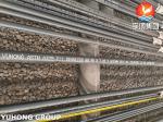 ASTM A335 P11 Alloy Steel Heat Exchanger Tube Petrochemical Chemical Processing