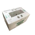 Fruit Corrugated Plastic Packaging Boxes Environmental Protection
