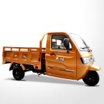 Top10 Tricycle 200cc Water Cooled Zongshen Engine Cargo Tricycle with Closed