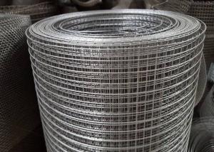 Wholesale 0 . 7mm Electro Hot Dip Galvanized Welded Wire Mesh Stainless Steel Agricultural from china suppliers