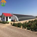 Hydroponic Greenhouse System for High Strength Solar Greenhouse and Vegetable