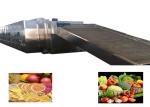 150-900kg/h Stainless Steel Belt Dryer machine Cassava Chip Dryer 41.9kw