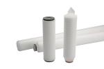 0.1um 10" Pharmaceutical PES Filter Cartridge Asymmetric Pore Structure