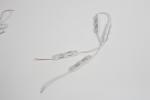 Waterproof Ip65 Outdoor Led Module 1.2w Single Color Smd5630 Miracle Bean