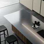 Modern Minimalist Style Stainless Steel Solid Wood Kitchen Cabinet Kitchen