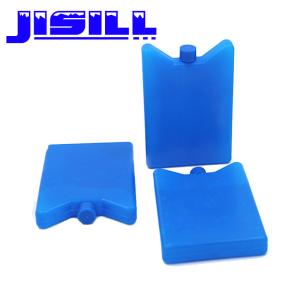 Wholesale Multipurpose Portable Fishing Vegetable Beer Ice Pack For Outdoor Camping from china suppliers