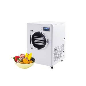 China industrial CE certificate LG-125 Vacuum Food Fruit Freeze Dryer For Food Processing freeze drying equipment prices on sale