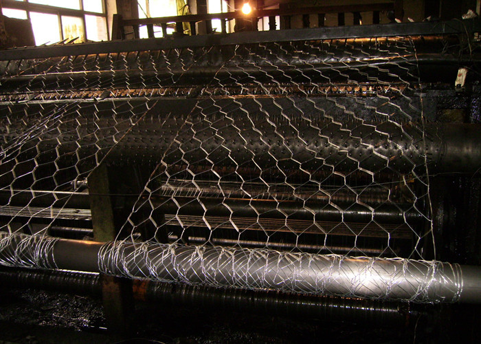 plant protection 25mm BWG24 Hexagon Metal Mesh