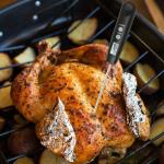 High Accuracy Digital Thermometer For Baking , Electronic Cooking Thermometer