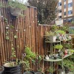 150cm Raw Bamboo Poles Painting Green Red Black Decorative Bamboo Garden Stakes