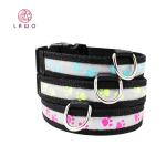 C903 Wholesale Most Welcomed Safety Waterproof Rechargeable Led Luminous Dog