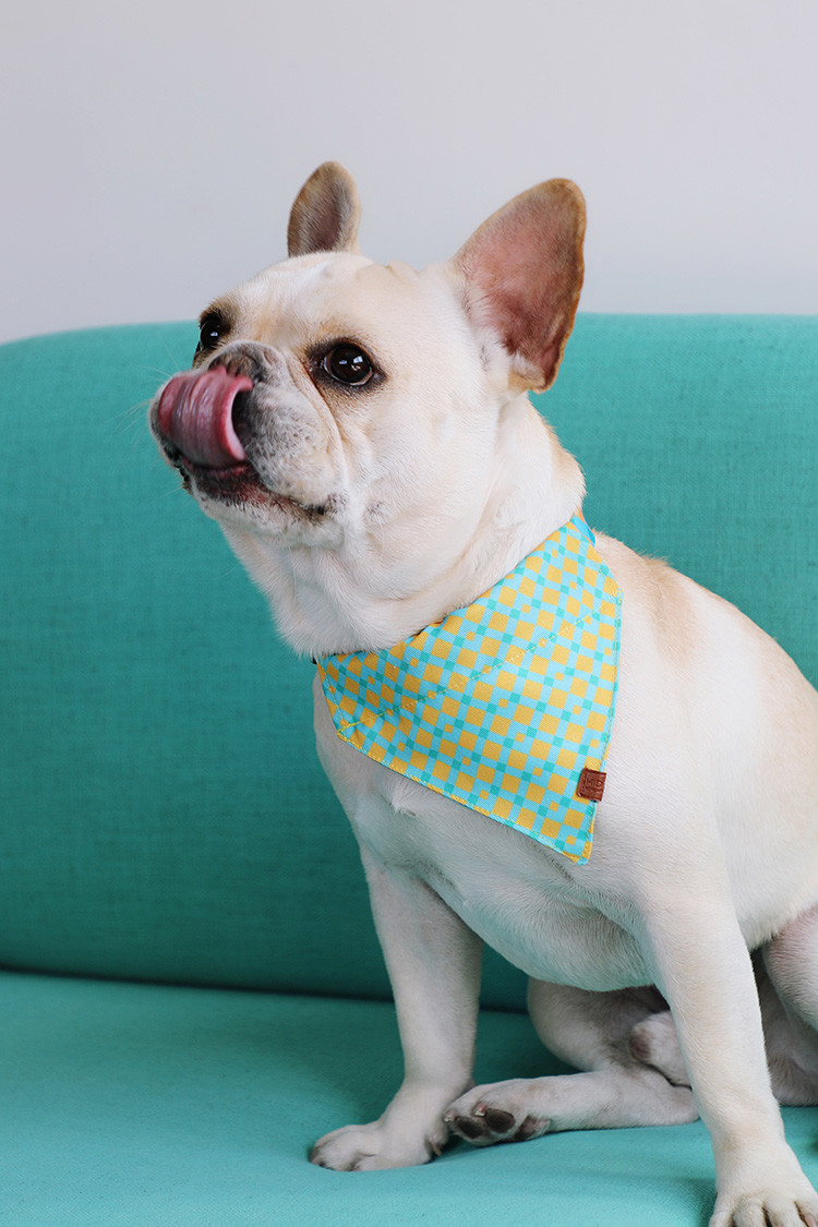14x9.5cm Small Dog Bandana Collar Bibs Puppy Neckerchief Washable Triangle Plaid