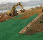 Three Dimensional Erosion Control Black Green Plastic Geomat for Agriculture