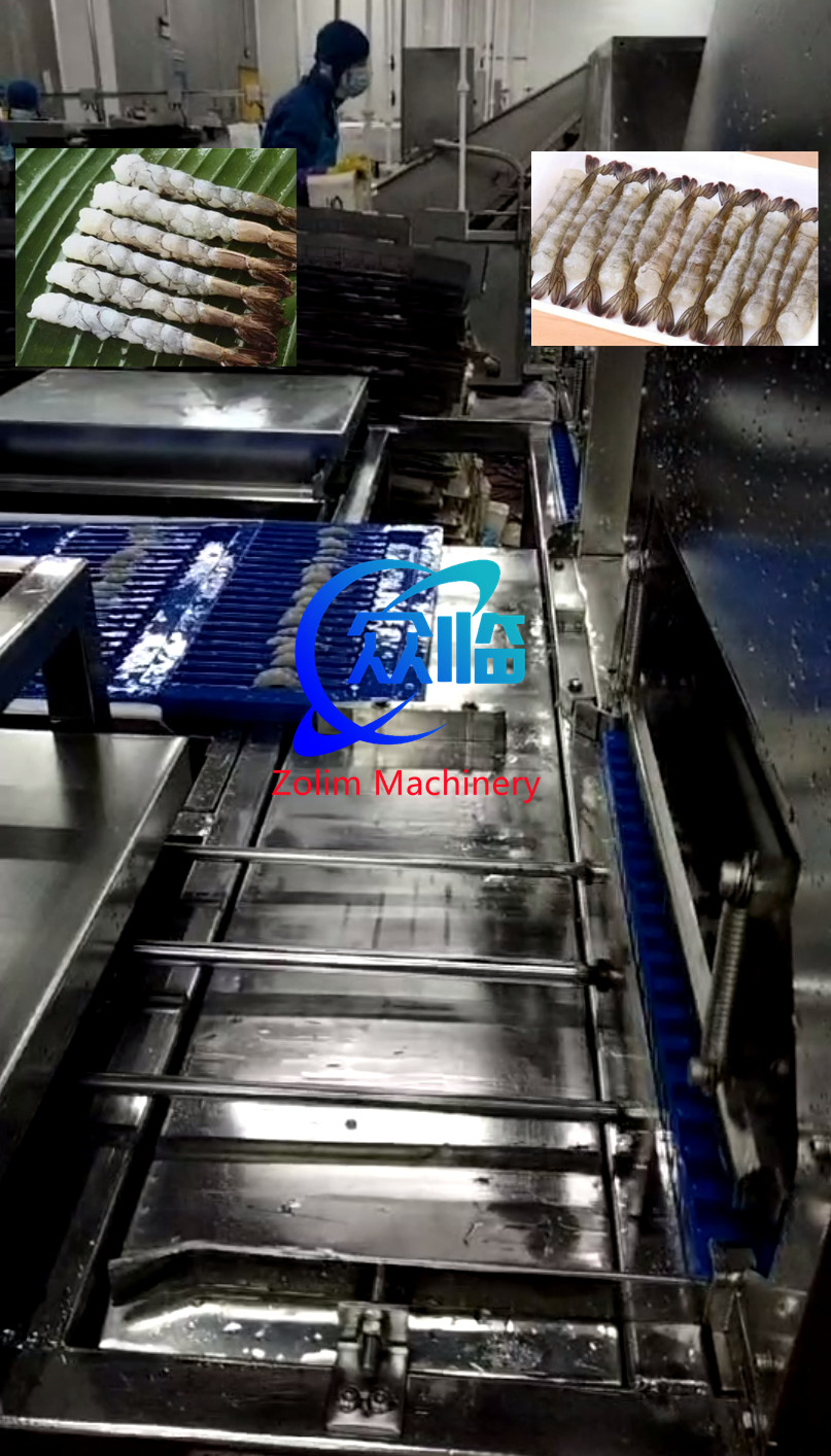 High Quality And Cheap Automatic Tempura Machine With Shrimp Stretching Machine