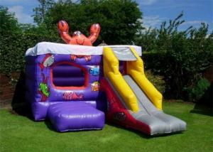 Wholesale Grassland Inflatable Bouncer , PVC Material Small Slide Bouncer For Kids from china suppliers