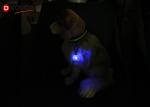 Colorful Safety Flashing Blinker Clip On Dog LED Light For Dog Collar