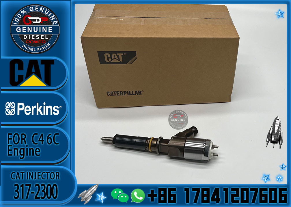 Cat 320d Diesel Inyector Common Rail Fuel Injector 3172300 317-2300 2645A717 for CATERPILLAR C6.4 C6.6 Excavator