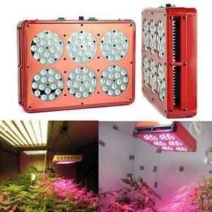 Wholesale 270W Apollo 6 led grow light ,multi color for plant veg and flower from china suppliers