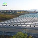 Customized Multi-Span Film Greenhouse for Hydroponic Tomatoes/Cucumbers/Peppers