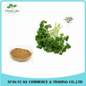 Wholesale Parsley / die Peterselie / prezzemolo Extract Powder from china suppliers