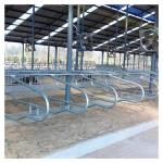 Length 2.3m Cow Free Stall Barn Sliver Color Double Sided