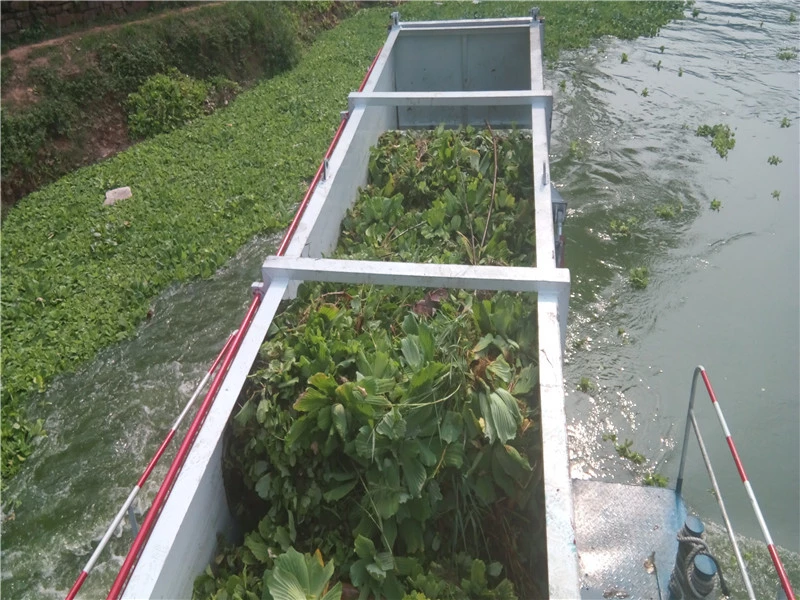 Enteromorpha Small Aquatic Weed Harvester Water Hyacinth Duckweed Reed Harvester