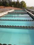 Versatile Inclined Plates Clarifier For Wastewater Treatment
