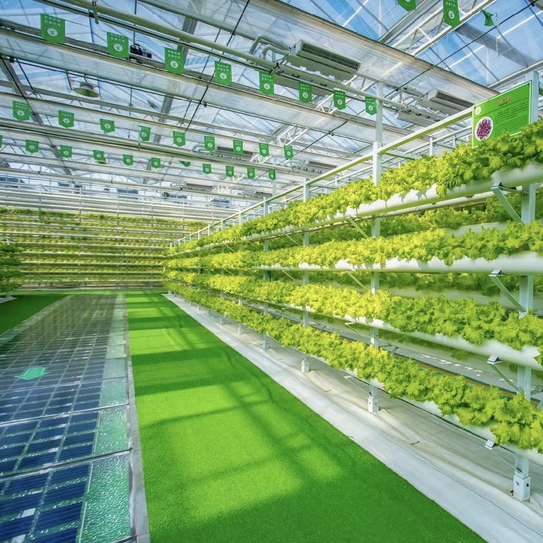 Glass Greenhouse Hydroponics System for Vegetables Flowers