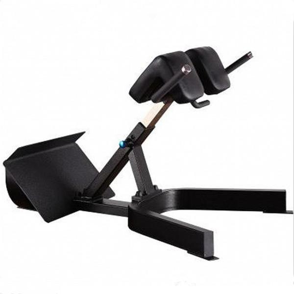 Befreeman Hot Selling Gym Fitness Exeserces 45 Degree Back Extension Machine