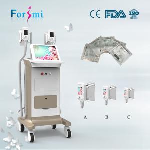 Wholesale lipocryo fat freezing device best cryolipolysis slimming machine for sale from china suppliers